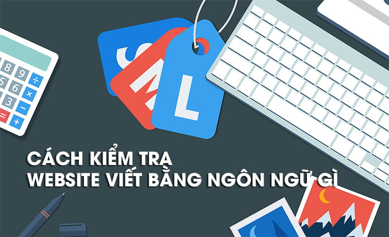cach_kiem_tra_website_viet_bang_ngon_ngu_gi1